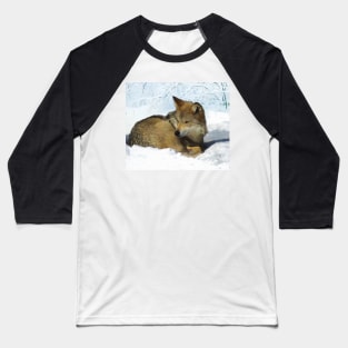 Wolf in the snow Baseball T-Shirt